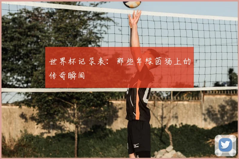 世界杯记录表:那些年绿茵场上的传奇瞬间
