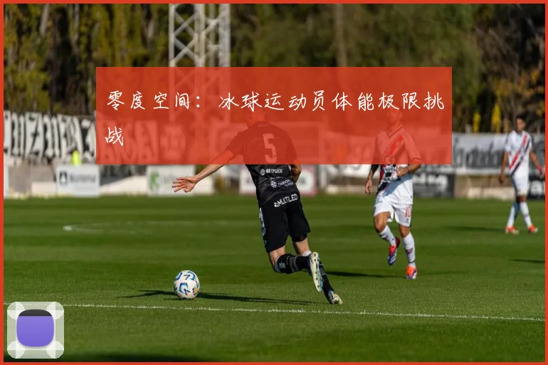 零度空间：冰球运动员体能极限挑战