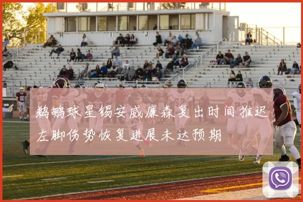 鹈鹕球星锡安威廉森复出时间推迟左脚伤势恢复进展未达预期