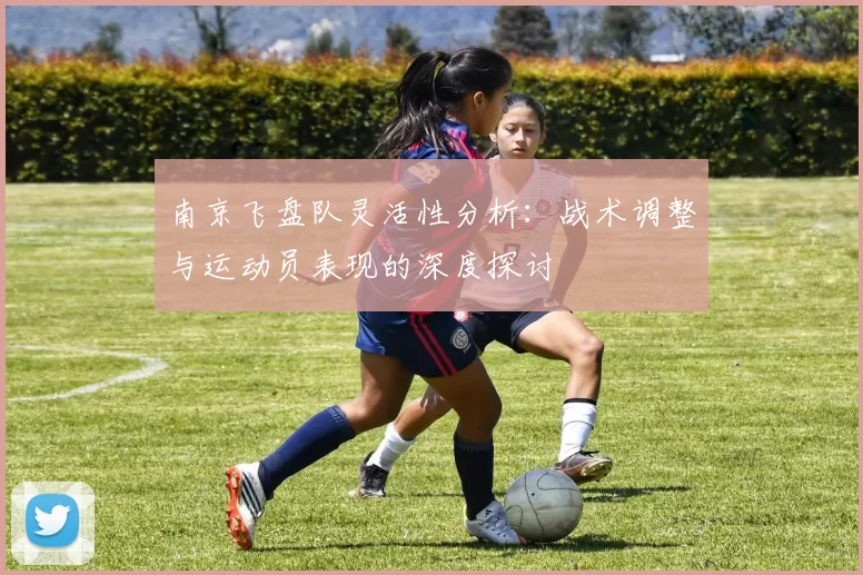 南京飞盘队灵活性分析：战术调整与运动员表现的深度探讨