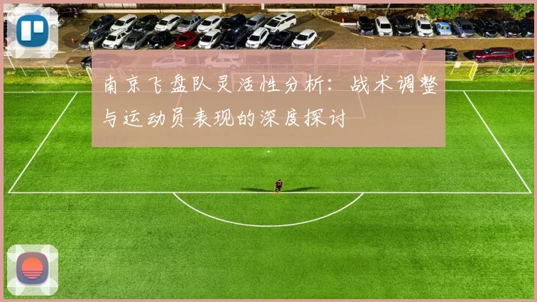 南京飞盘队灵活性分析：战术调整与运动员表现的深度探讨