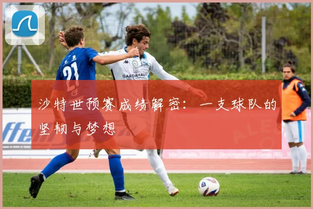 沙特世预赛成绩解密：一支球队的坚韧与梦想