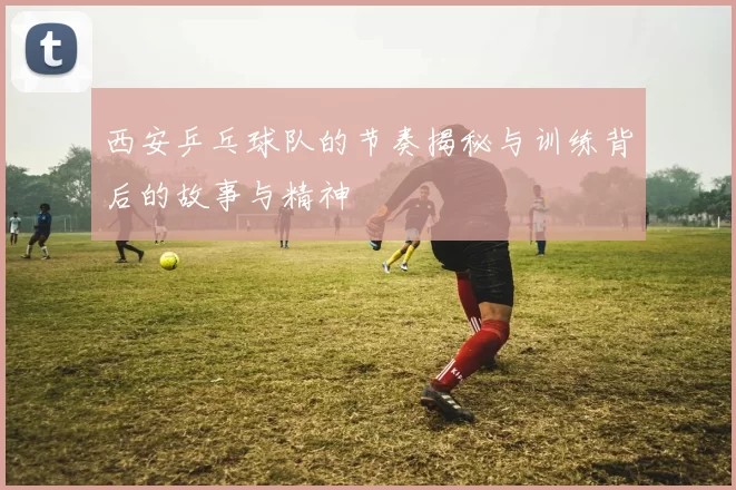 西安乒乓球队的节奏揭秘与训练背后的故事与精神