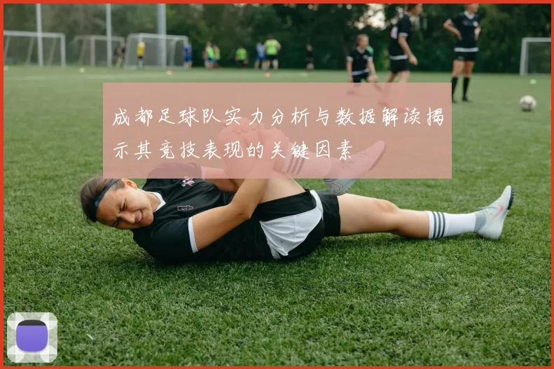 成都足球队实力分析与数据解读揭示其竞技表现的关键因素