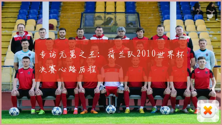 专访无冕之王：荷兰队2010世界杯决赛心路历程