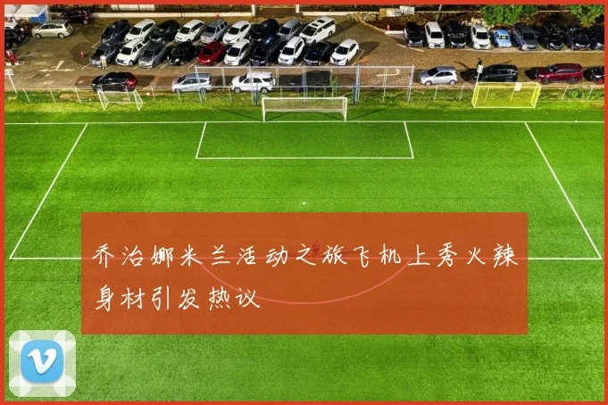 乔治娜米兰活动之旅飞机上秀火辣身材引发热议