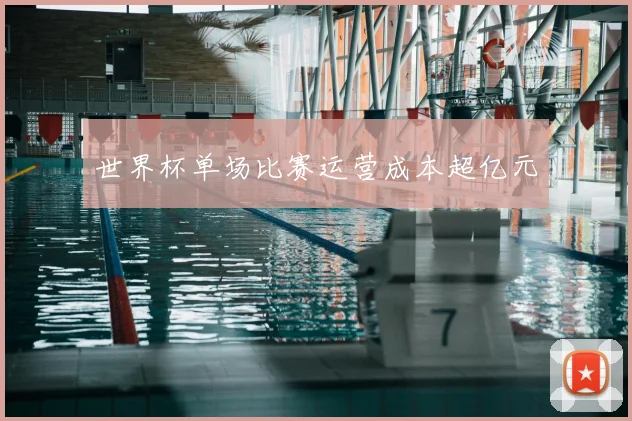 世界杯单场比赛运营成本超亿元