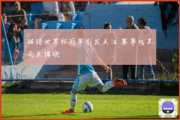 猫猜世界杯冠军引发关注 赛事结果尚未揭晓