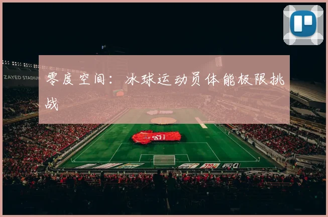 零度空间：冰球运动员体能极限挑战